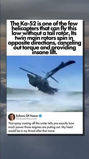 PHYSICS OF GROUND EFFECT FLIGHT