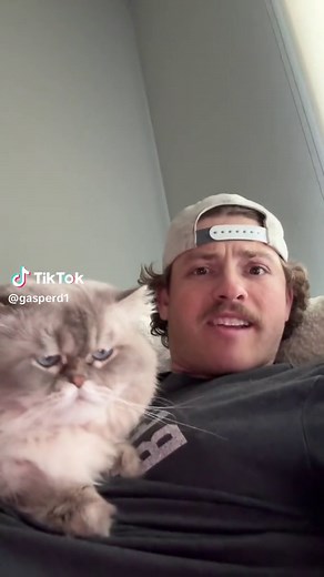Gus the Cat's Hilarious Moments With Kids
