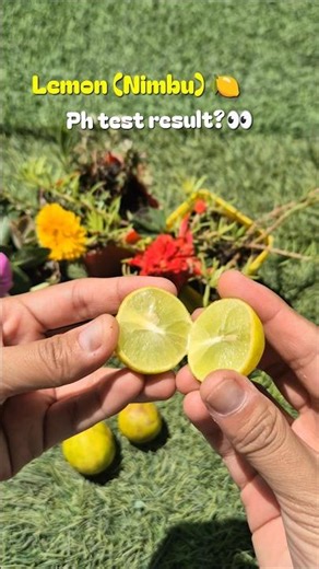 Lemon (Nimbu) ph test results?😱 #lemon #facepack #shortsforgoals #phtest