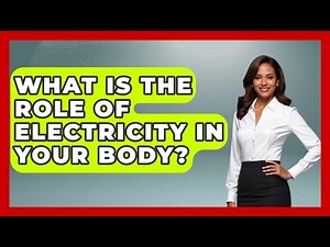 What Is The Role Of Electricity In Your Body? - The Everyday Why