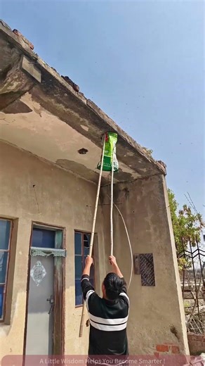 DIY Bee Hive Removal How to Safely Remove Bees from House Eaves