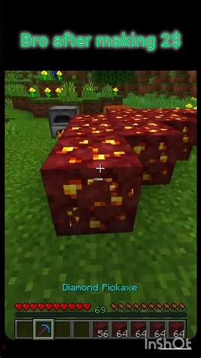 POV Bro after making 2$ #minecraft #meme