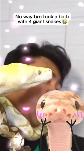 No way bro took a bath with 4 giant snakes