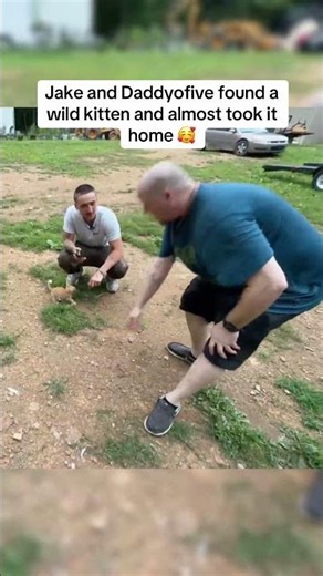 Jake and dad find a wild cat ? #trending #funny #shortsviral #funnymoment