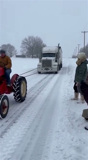 Old Farm Tractor Pulls a Stuck Semi Through Deep Snow — Pure Winter Power ❄️🚜 #truckernews #funny