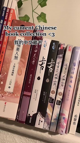 Explore My Chinese Book Collection | Asian Novels & More