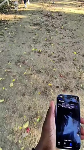 Hilarious Fake Translation Prank That Will Make You Laugh