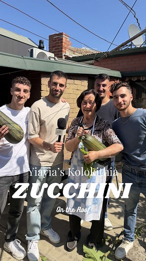 Yiayia Grows Zucchini on Roof!