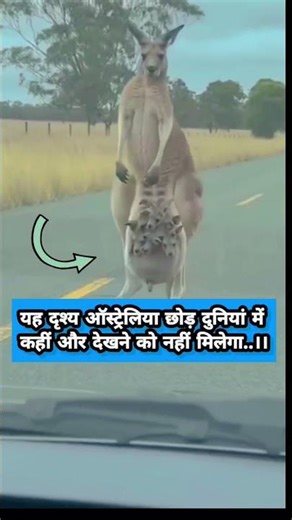 Krishna Bhajan | Radhe Krishna Song | Bhakti Song 2025 | Shri Krishna Devotional Video #shorts