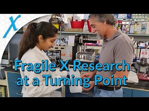 A Turning Point in Fragile X Research: Treatments and Curative Approaches