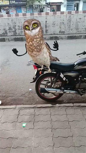 #cosplaycommunity #viralshorts