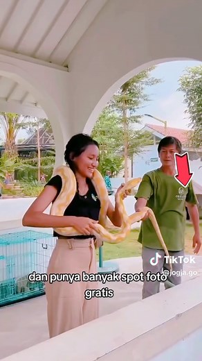 5 rekomendasi wisata wajib di kunjungi di Jogja #wisatajogja #liburanjogja #tahunbaru2024 #jogjago #kaliurang #candiprambanan