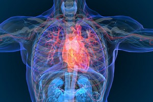 Do beta blockers really increase the risk of death? A cardiologist explains