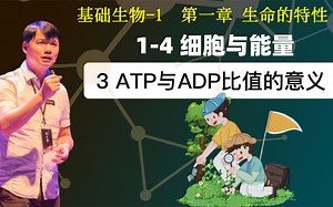 基础生物学 1-4.3 ATP与ADP比值的意义