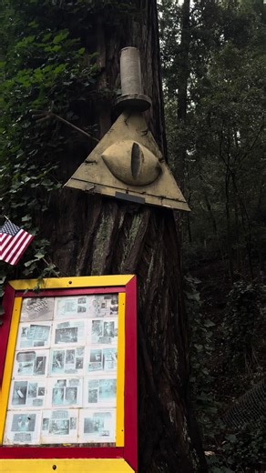 Exploring Confusion Hill and the Mystery of Gravity Falls