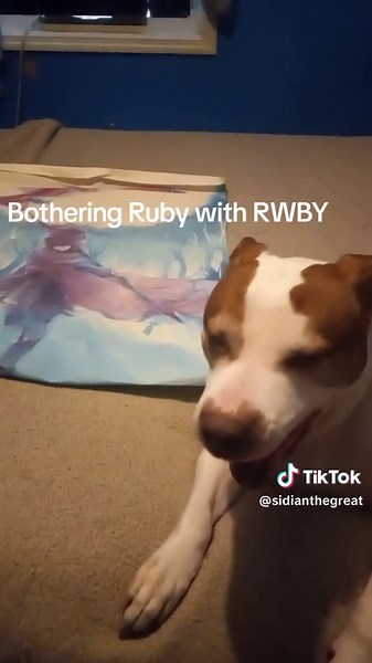 Desvelando Mi Pasión por RWBY: Un Fan Inquebrantable