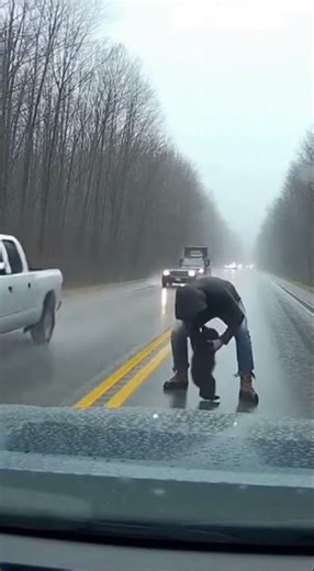 Tiny Bear Cub Crying in the Road… Then a Man Did Something Incredible 🐻❤️ #puppy #animals #duck