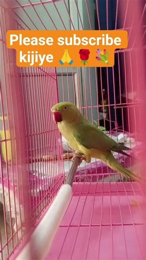 ❤️❤️❤️❤️🙏🌹