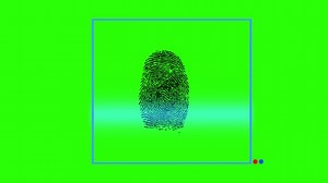 Thumbprint, Scan, Fingerprint
