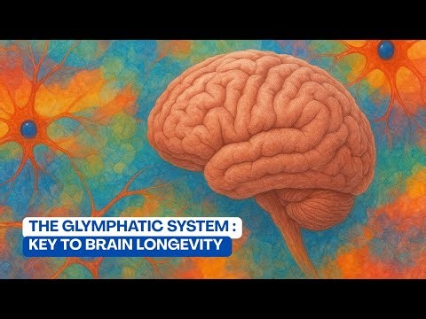 The Glymphatic System and Restorative Sleep: The Secret of Brain Cleansing