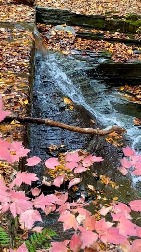 Sweedler andThayer Preserves #scenic #falls #autumn #usa at Lindbrook Falls NY | Angelo Garcia