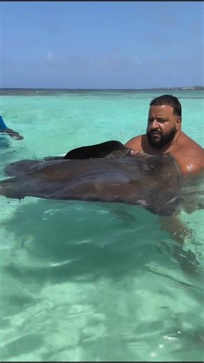 Stingray! DJ khaled in ocean with Stingray fish #djkhaled #shorts