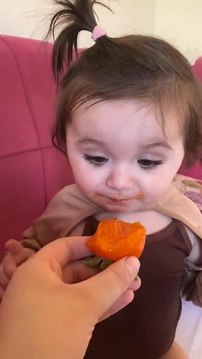 316K views · 16K reactions | Aline on Reels | Facebook