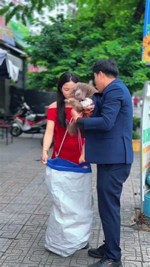 HA12042620 Saving animals can’t wait 🛡️🐾 #HADA #short #Humanity #Compassion #LifeLesson