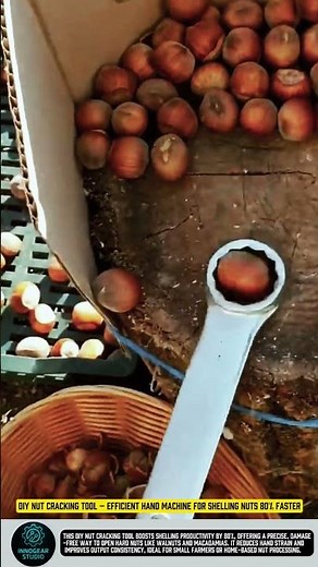 DIY Nut Cracking Tool – Efficient Hand Machine for Shelling Nuts 80% Faster