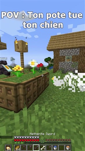 POV : Ton pote tue ton chien #minecraft #dogs #jeuxvidéo #gaming #twitch #gamer #games #jeux