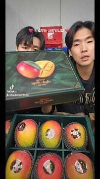 🥭🎁 프리미엄 애플망고 설 선물세트 판매 시작! #과일 #프리미엄과일 #설선물세트 #설선물 #과일선물 #특가 #애플망고 #망고 #선물