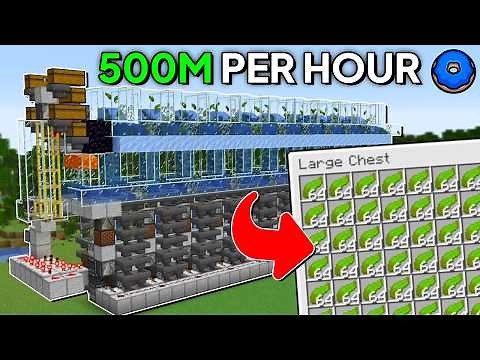 1 Million Kelp Farm | Donut SMP