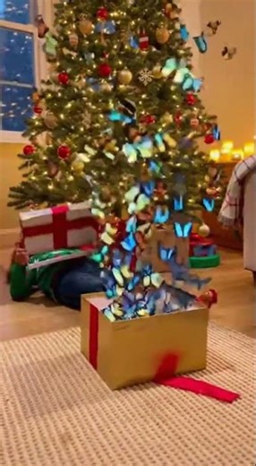 Surprise Butterfly Gift Box Cute Kid Reaction 😱🎁 #fly #gift #box #viral #shorts