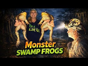 MONSTER Bullfrogs Caught Deep in the Louisiana Swamp!