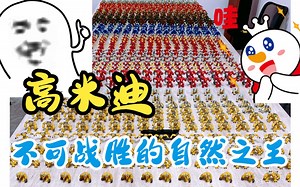 高米迪——不可战胜的自然之王