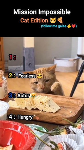 Sneaky Cats Caught Stealing Food 😂🐱 | You Won’t Believe This!