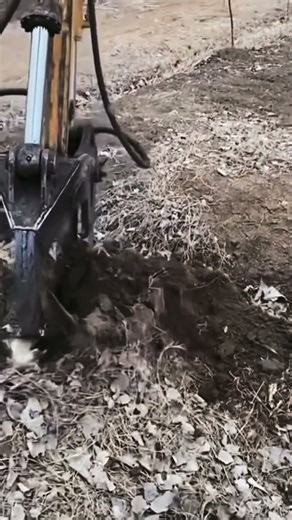 Innovative Advanced Tools and Machines for Easy and Fast Tree Root Removal #shorts
