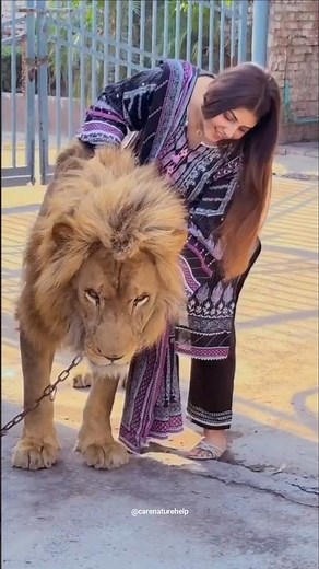 Dubai people with pet lion #pets #pet #lion #shorts