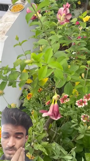 How to Get More YouTube Subscribers Fast📈