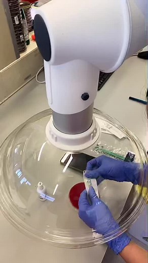 #biology #microbiology #scienceexperiments #bacteria TikTok