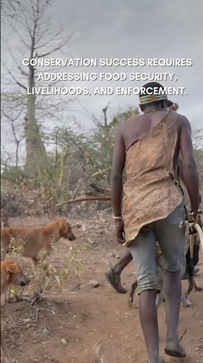 Bushmeat Poaching | Conservation Frontlines