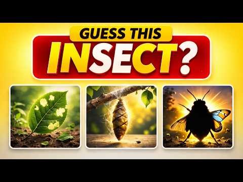 30 Mind-Blowing Insect Image Guess Quiz 🤯🐞 | Hindi | Only Geniuses Can Score 30/30!