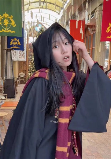 Send Me to Slytherin: A Harry Potter Tribute