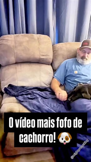 Dogtor🐶 (@dogtor89) on X