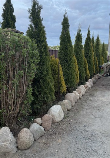 Профессионалы в благоустройстве: камни и туи