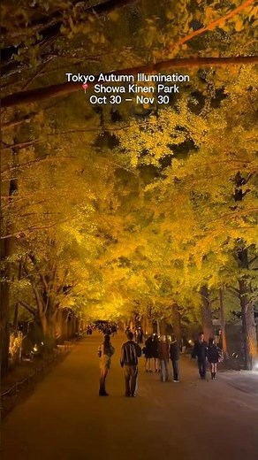 I Found Tokyo’s Most Beautiful Autumn Light Show — And It’s INSANE