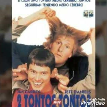 Las 10 mejores peliculas grasiosas para ver en familia