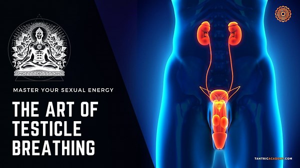 Testicle Breathing: The Complete Guide (  Expert Tips 2026)