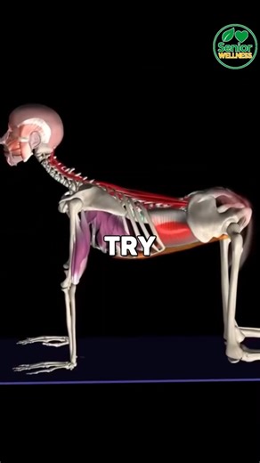 Try These Easy Moves for Joint Relief! #JointRelief, #HealthyJoints, #EasyExercises