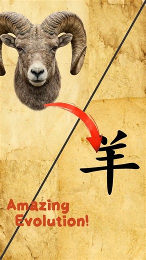 Why "Yang" Looks Like a Ram 🐏